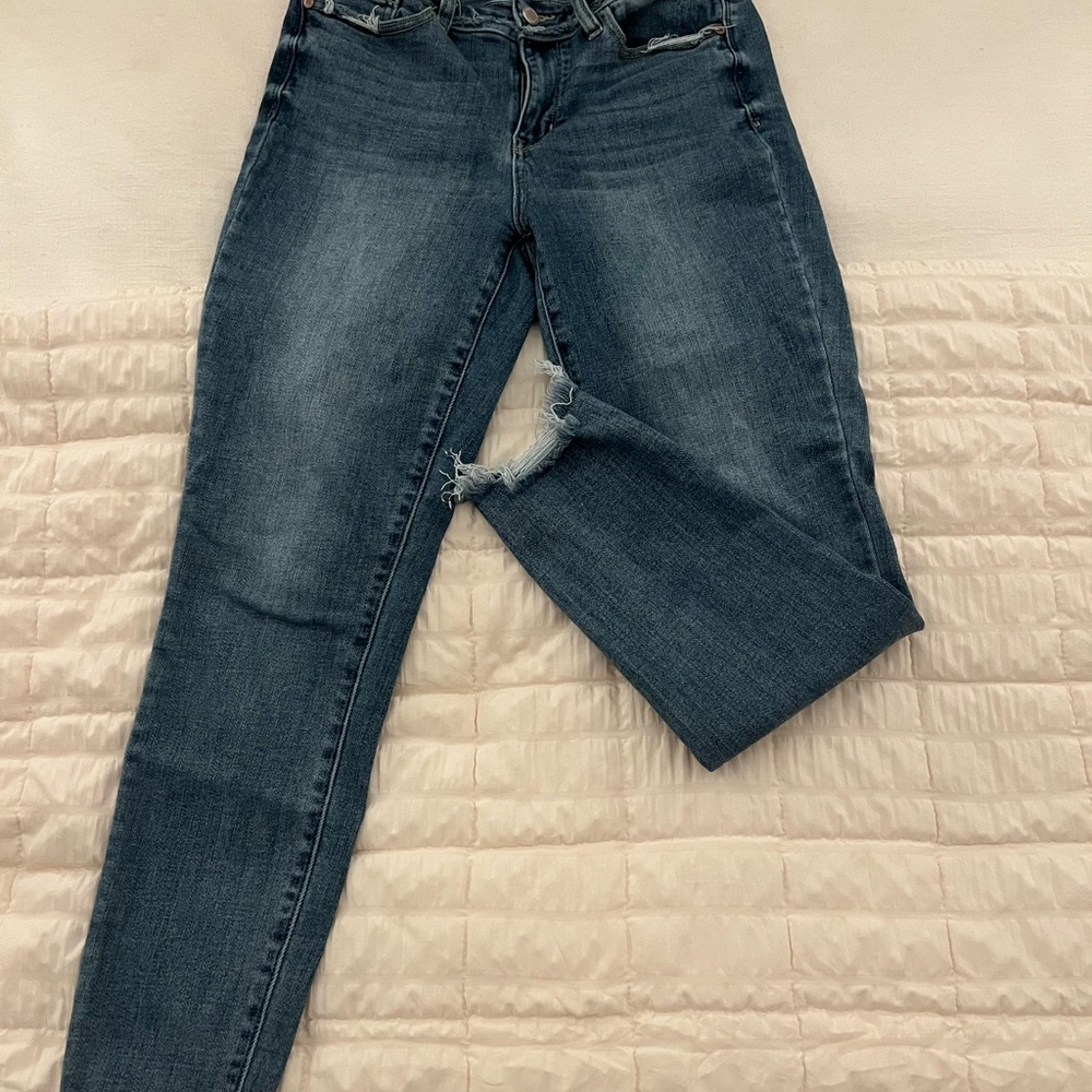 Judy Blue Blue Skinny Jeans